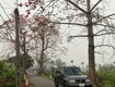 Chính chủ bán xe vitara 2005 