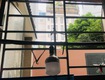 Tuyển 1 bạn nữ ở ghép phòng mới có gác quận 10