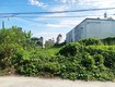 Bán đất đường 155   549m2   11x55   100m2 thổ cư   xã...