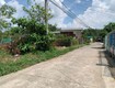 Đất phước thái 10x25, 250m2 , 140tc cần bán gấp 