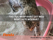 Thủ tục nhập khẩu cát mèo bentonite mới nhất