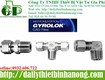 đầu nối ống với ren trong gyrolok 