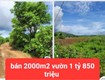 Hạ giá từ 2.6 tỷ xuống bán 1 tỷ 850 triệu   2 sào đất vườn tổ...