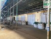 Cho thuê nhà xưởng 19.802 m2 kcn đồng xoài   bình phước 