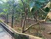 Lô đất vị trí đẹp giá đầu tư chính chủ cần bán nhanh lô...
