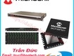 Bộ khuếch đại microchip   nhà cung cấp microchip chính hãng 