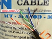 Cáp mạng cat5 ngoài trời có dầu cường lực dây thép gia cường chịu lực...