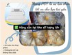 Màng co pof bọc tai yến