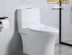 Bồn cầu 1 khối trắng sứ cao cấp codor bc978