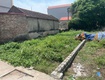 Bán đất thôn phác động, tiền phong, thường tín