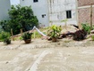Bán 80m2 đất phân lô ô tô,hạ mỗ đan phượng 