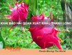 Khai báo hải quan xuất khẩu Thanh Long 
