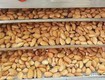 Máy sấy nông sản có thực sự nâng cao giá trị kinh tế cho hạt...