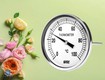 Mua đồng hồ nhiệt độ wise t114 tại dantek: bảo hành đầy đủ, tư vấn...