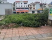 Mảnh đất 80m mặt tiền 6m 24 tỷ ngọc thụy,gần công viên khai sơn,long biên...