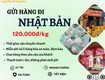 Gửi hàng đi nhật bản tiến việt express