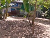 Chính chủ cần bán lô đất tặng nhà cấp 4 có vị trí đẹp tại xã nhợn thạnh...