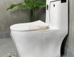 Bồn cầu 1 khối trắng viền đen codor bc1c104