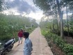 đất đẹp gần trung tâm bàu cạn cách chợ chỉ 600m, giá cực...