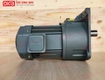 động cơ giảm tốc mặt bích wanshsin gv40 2200w 10s