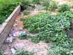 Sở hữu ngay đất đẹp giá tốt vị trí đắc địa...