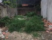 Bán đất phố cầu giấy ô tô, ngõ thông, mặt tiền rộng 9m,...