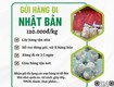 Gửi hàng đi nhật bản tiến việt express
