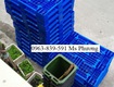 Pallet nhựa pl20lk từ nhựa hdpe nguyên sinh, dùng tốt trong kho lạnh 