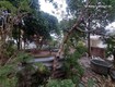 Full thổ cư, 272m2, mt11m, ô tô 7 chỗ thông, 5.5 tỷ, phú cường, sóc...