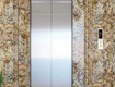 Tôi cho thuê nhà mới, hai cửa đi,vỉa hè, 112m2 5t, chùa láng 46...