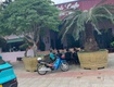 Sở hữu đất đẹp đầu tư sinh lời chủ cần bán...