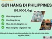 Gửi hàng điphilippines tiến việt express
