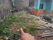 Chính chủ cần bán gấp lô đất có vị trí đẹp tại xã an đồng...