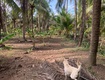 Chính chủ cần bán đất tại   bến tre 