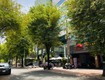 H.ottt cần chuyển nhượng gấp tài sản đắc địa võ văn tần quận 3...