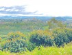 1ha đất thiện chí, ninh gia đức trọng, lâm đồng 