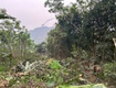 Chính chủ cần bán mảnh đất mặt đường lớn tại khu chầm 2, xã tân...