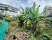 Bán  lô đất full thổ cư, 350m2, mt15m,  23 tỷ  ngọc thụy...