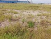 Cho thuê đất, nhà xưởng tại ngọc long. yên mỹ. hưng yên 