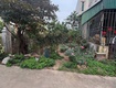 Gia đình cần bán miếng đất đấu giá khu ao sau phùng nguyên, phú thọ...