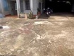 Chính chủ cần cho thuê nhà nguyên căn tại suối cát 2 xuân...