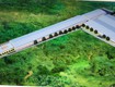 Cho thuê nhà xưởng tại trừ văn thố bàu bàng bình dương diện tích xây...