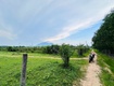 Bán 110 x 34   3455m2   đất tân hà   hàm...