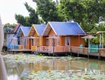 Mùa sen nở tại Bản Đôn Garden 
