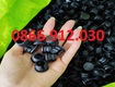 Có nên sử dụng nắp chụp sắt hộp phi 19mm giá rẻ