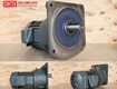 động cơ giảm tốc mặt bích wanshsin gv40 2200w 30s 
