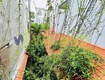 Bán biệt thự mini có sân vườn đẹp đường nguyễn kim thích hợp nghỉ dưỡng...