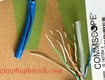 Cáp mạng cat6   giải pháp nâng cấp đáng giá cho mọi hệ thống...