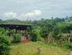 Bán đất tại quốc lộ 55, 500 triệu, 310m2, pháp lý đầy đủ, giá tốt,...