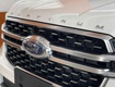 Thắng ford phú mỹ 